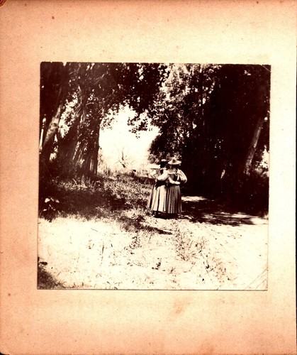 Vtg cabinet photo 1898 - photo,
